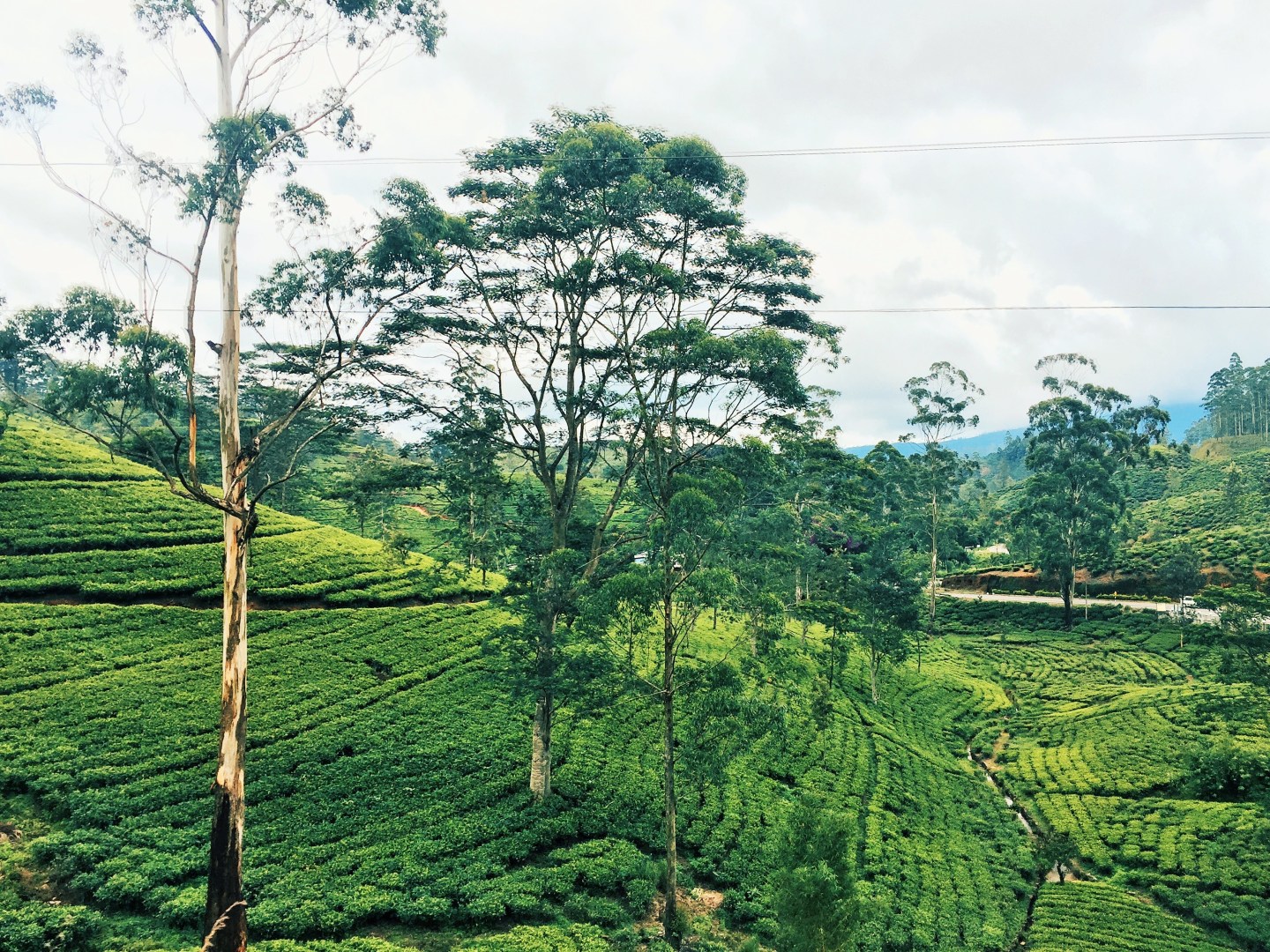 Processed with VSCO with hb2 preset