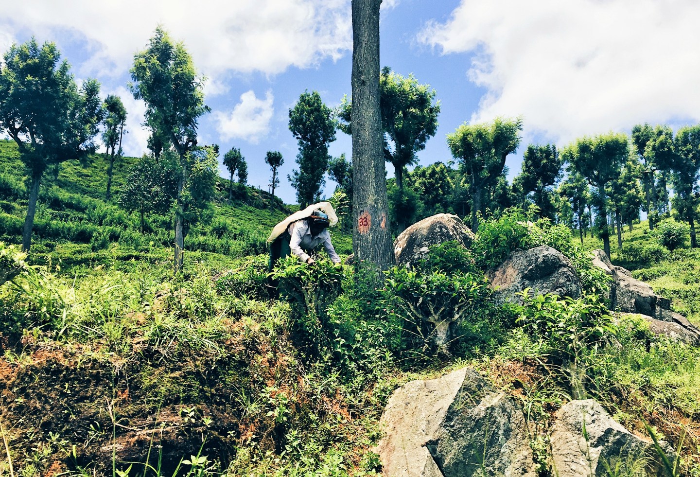 Processed with VSCO with hb1 preset