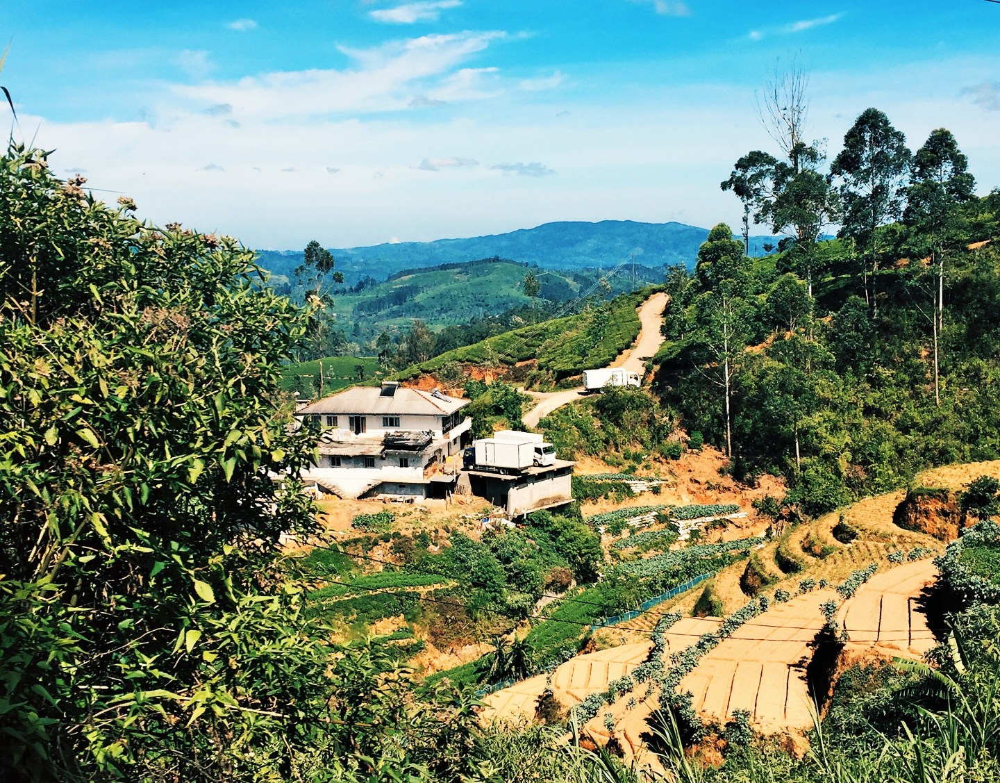 Processed with VSCO with hb2 preset