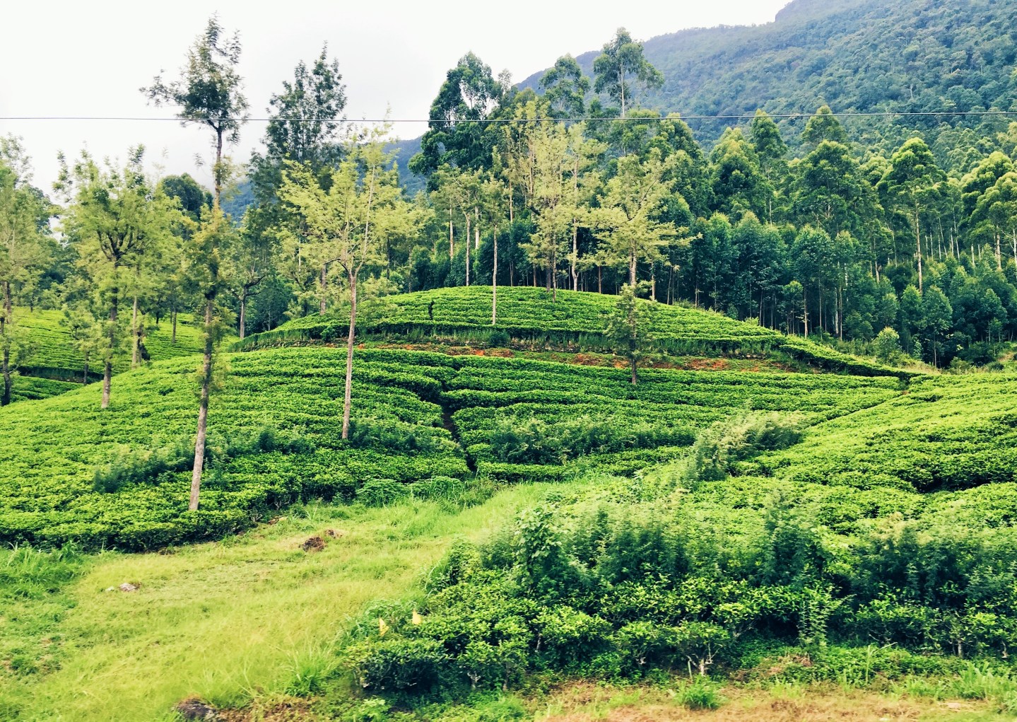 Processed with VSCO with hb1 preset