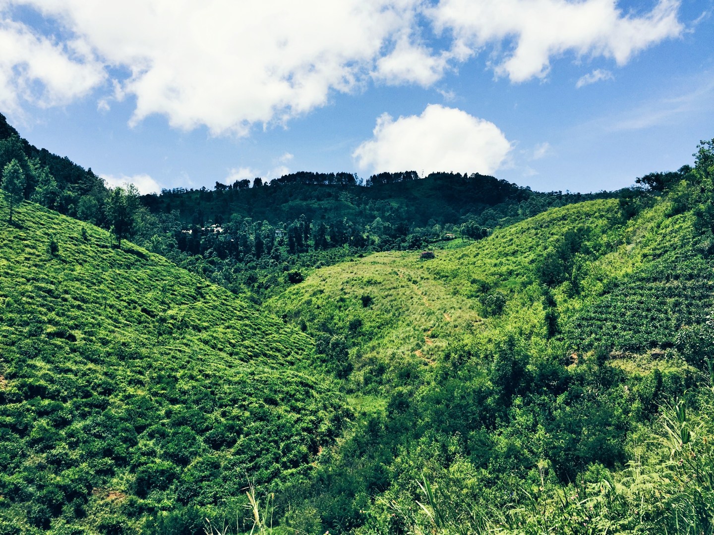 Processed with VSCO with hb1 preset