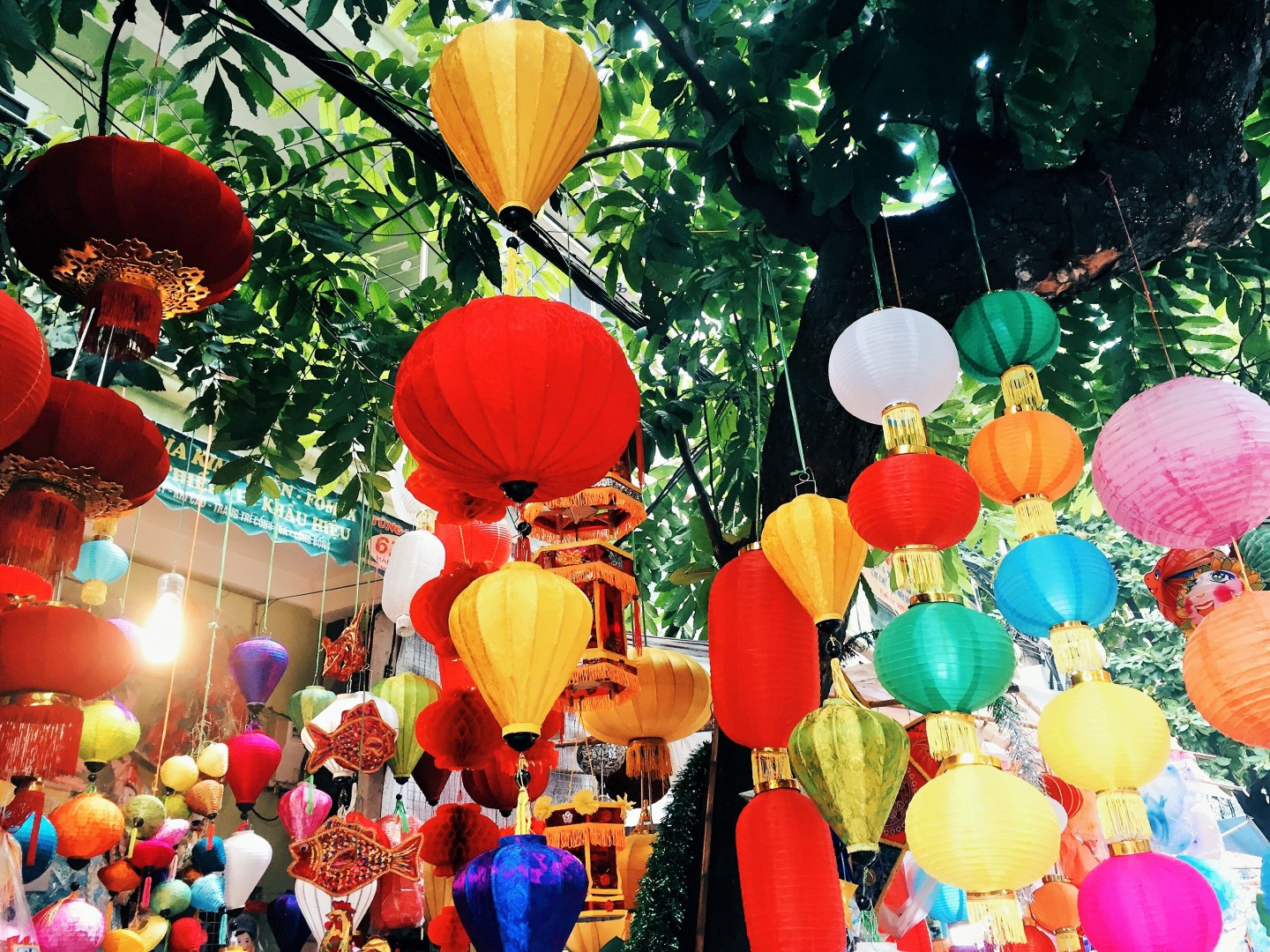 Processed with VSCO with hb2 preset