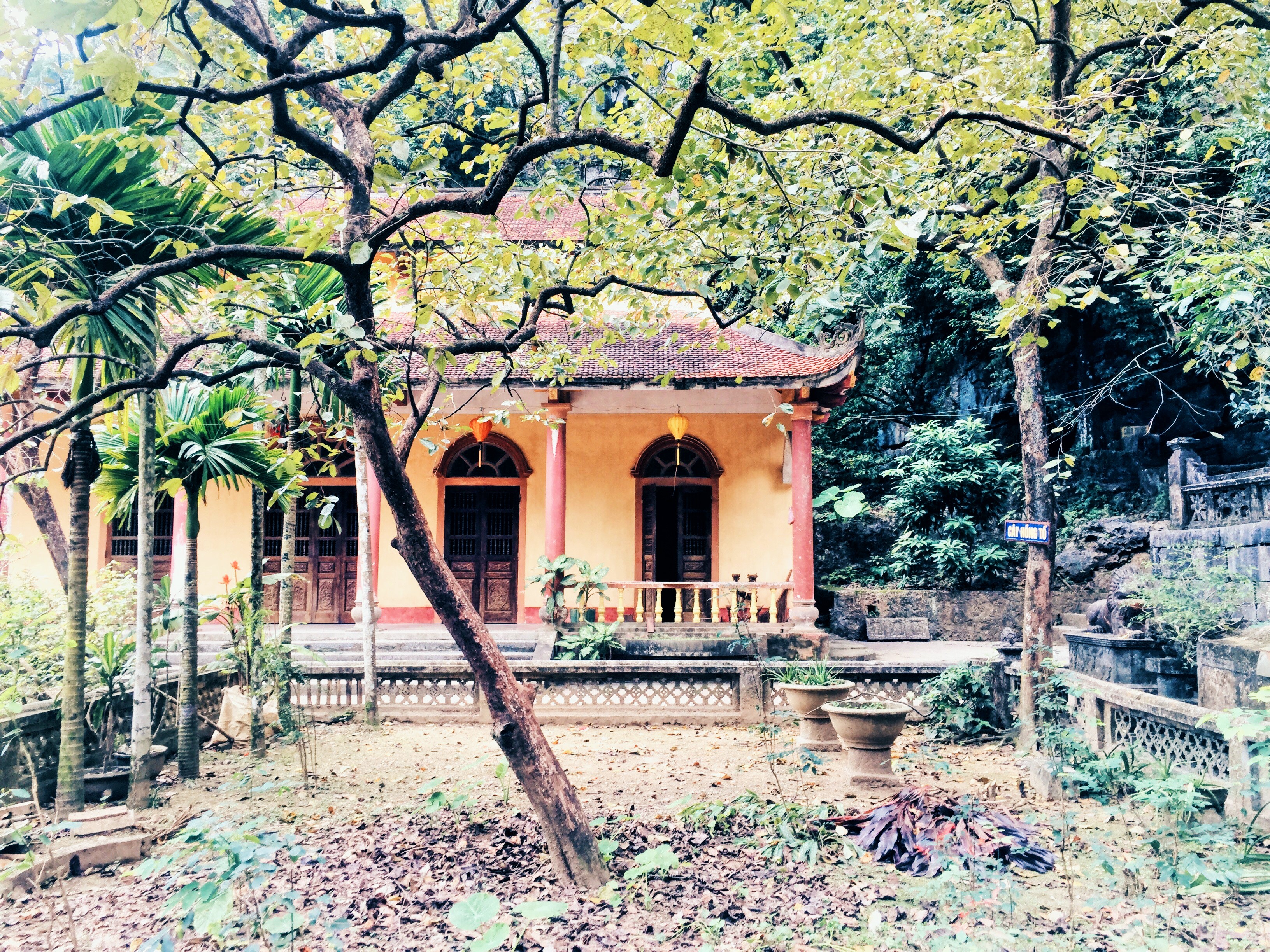 Processed with VSCO with hb2 preset