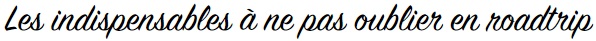 les indispensables à ne pas oublier en roadtrip