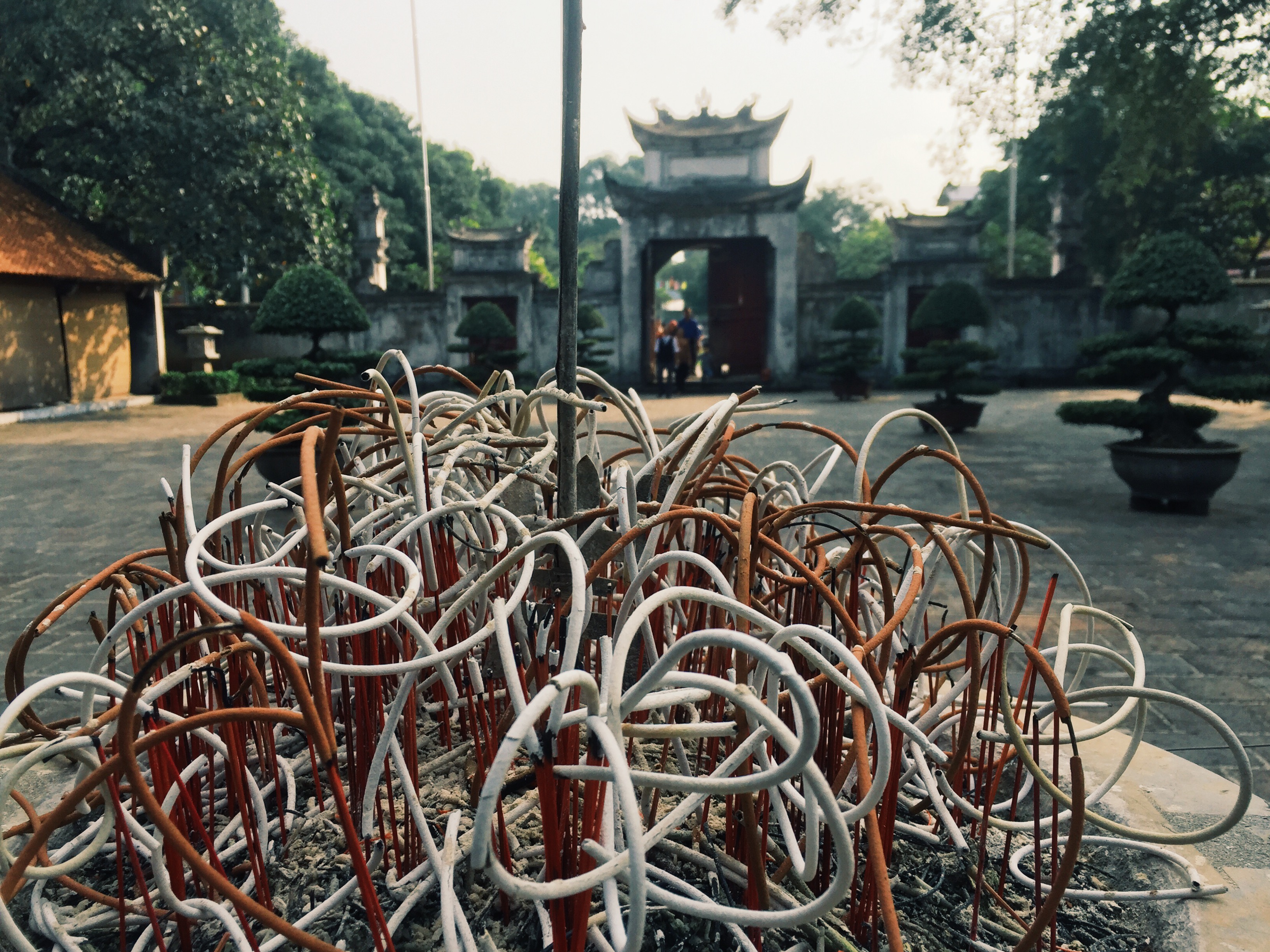 Processed with VSCO with g3 preset