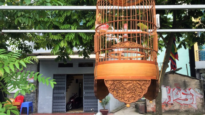 Canh Hoach, le village des cages à&nbsp;oiseaux