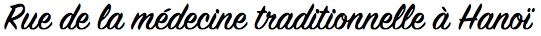 Rue de la médecine traditionnelle à Hanoï