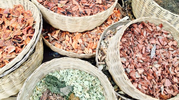 La médecine traditionnelle&nbsp;vietnamienne