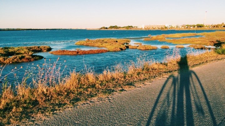 Rétrospective : le meilleur de mon année&nbsp;2020